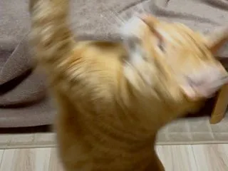 潜入
