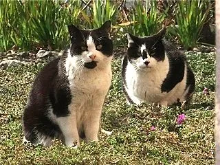 アゴとの６年