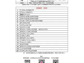 2026-11-01■昆虫生体展示 