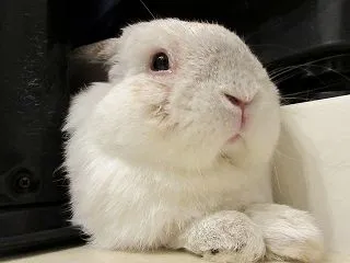 いつも通りが良き
