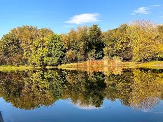 イランから・公園の写真