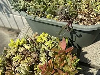 知識だけでなくスキルも習得しよう