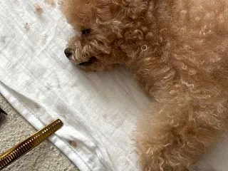 左側チャ〜〜ンス！