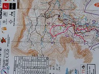 筑波大学オリエンテーリング大会