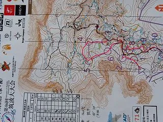 筑波大学オリエンテーリング大会