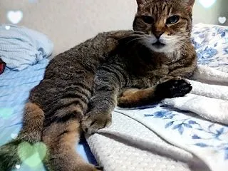 堂々巡り。～えぇ…、相反する薬を飲むの？…