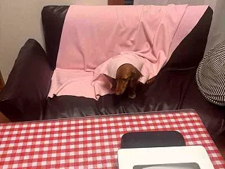 とりあえず凪。