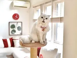 グ～ッとクローズアップしてみたらあああ😻…