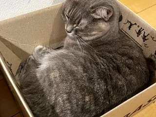 寝苦しそうに見える