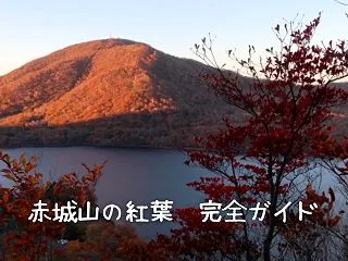 【2026年最新】赤城山の紅葉ガイド決定…