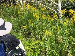 記憶はダメでも