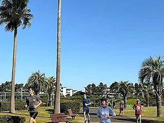 秋高し椰子打ち上ぐるパークラン