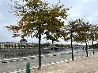 トラムが止まって、、