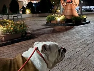 ちょいとドライブ