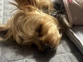 寝落ち
