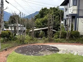 枯れた木を伐採してもらう予定です。