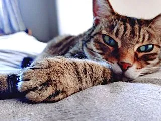 なんてんくんのお誘いは断れない