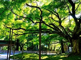 2026/10/20 朝日記 雷山千如寺…