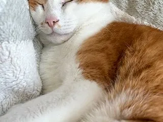 今日も頑張ります
