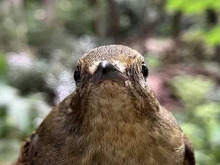 ハリポタ食玩