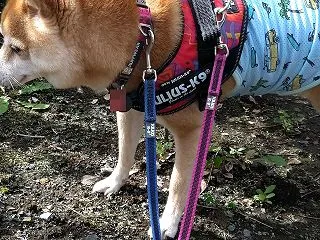 平日休み