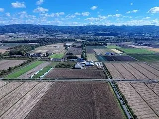 2026.10.20 とうもろこし畑と周…