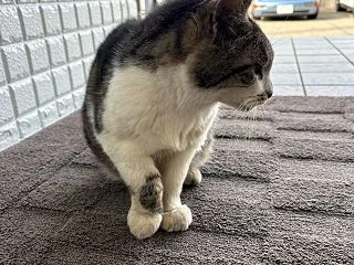 お見送りとお出迎え