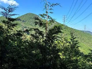 ［ヤマレコ］五日市憲法草案 (2)