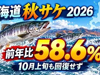北海道秋サケ漁獲量2026｜10月も回復…
