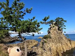 叶います（・∀・）