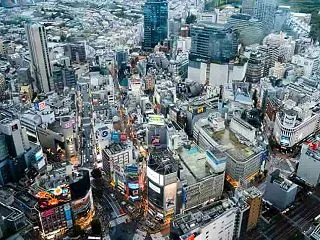 【あらすじ】スズキタゴサクの狂気に圧倒さ…