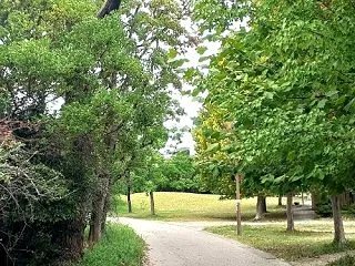 名古屋つれづれ・葉