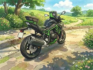 【新車トラブル】Kawasaki Z H…