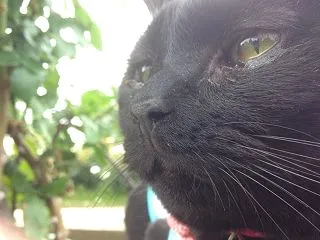 2月カレンダー