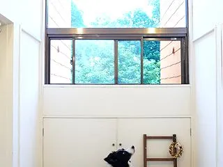 【静岡＆山梨旅2-3】伊豆高原ペットと行…