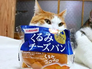 くるみチーズパン