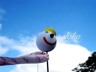 インスタで見つけたハワイのお土産〜♪