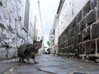 はじめまして。