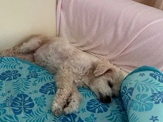 めるのです