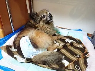 着々と進行中 !
