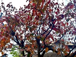 日常の「感性の鍛錬」が旅の感動につながる