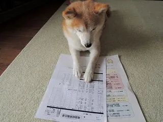 健康診断の結果 再診 の思ひででちゅ