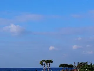 ☆自由になりたい、ってもう自由ですよ(笑…