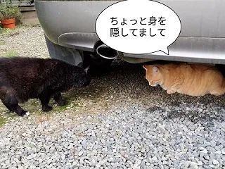 掃除機はどうなったかの続き
