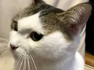 夢への軌跡_思うようにはいかないですねぇ…