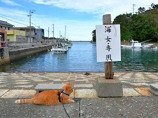 札の、こちらがわ。