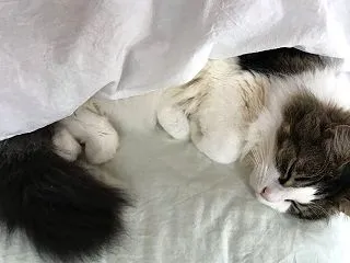 秋晴れだから。