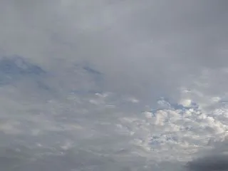 『知恵もなし経験もない公務員が人を地獄に…