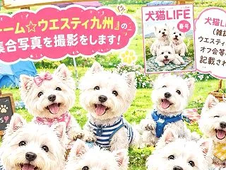 九州ウエスティ集まれ〜