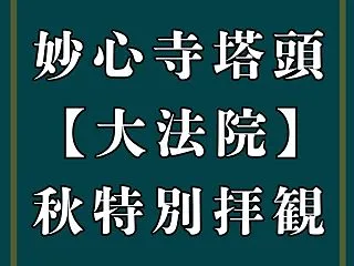 妙心寺塔頭 大法院【秋季特別公開2026…